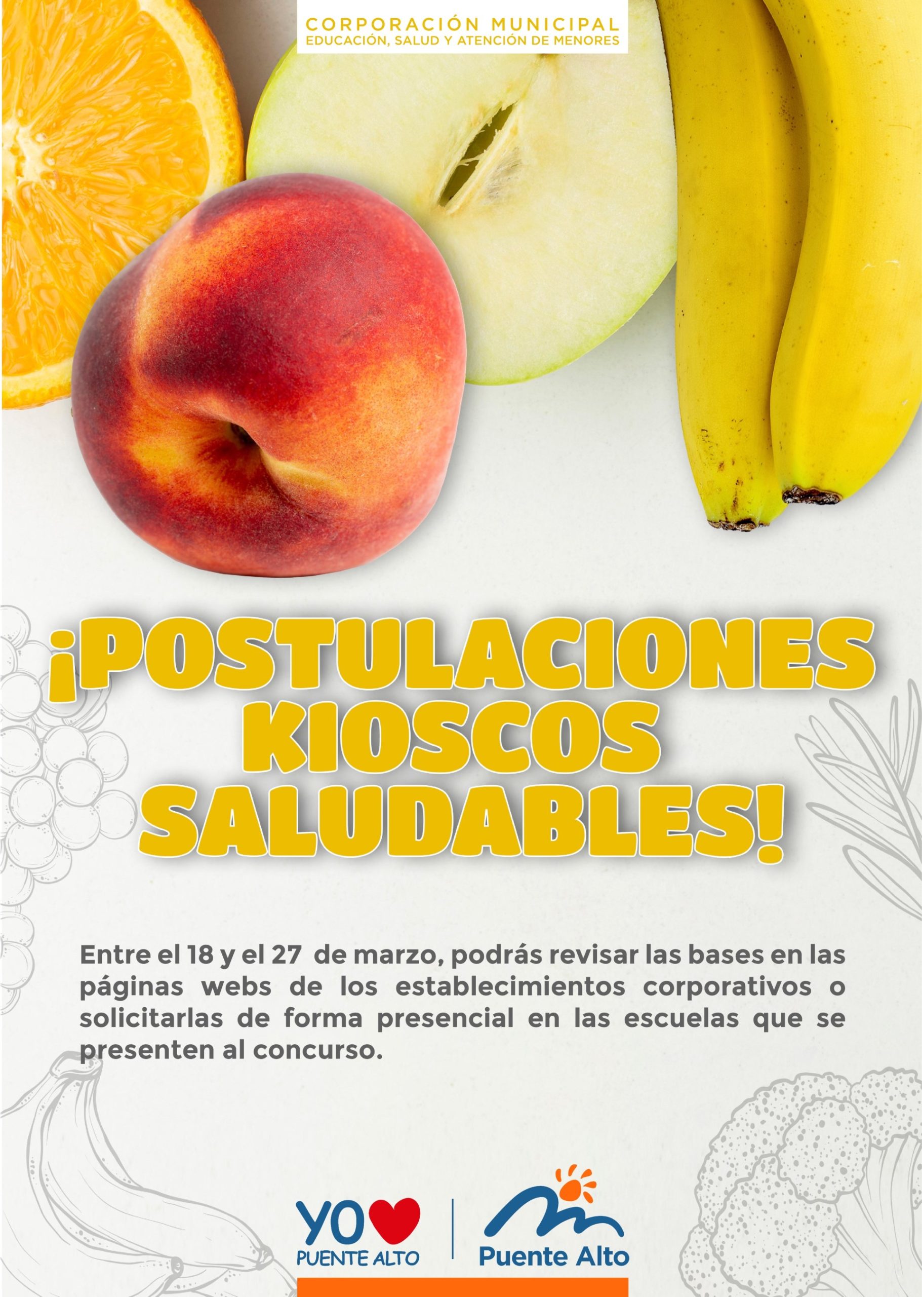 Bases de concurso para la concesión de Kioscos saludables